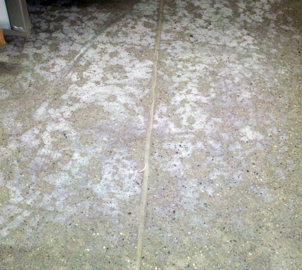 efflorescence on a concrete floor