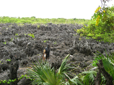 devil statue in spiky black rocks in Hell Grand Cayman
