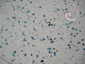 closeup of white concrete countertop with beach glass and shells embedded