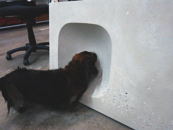 miniature dachshund sticking nose through concrete sink hole